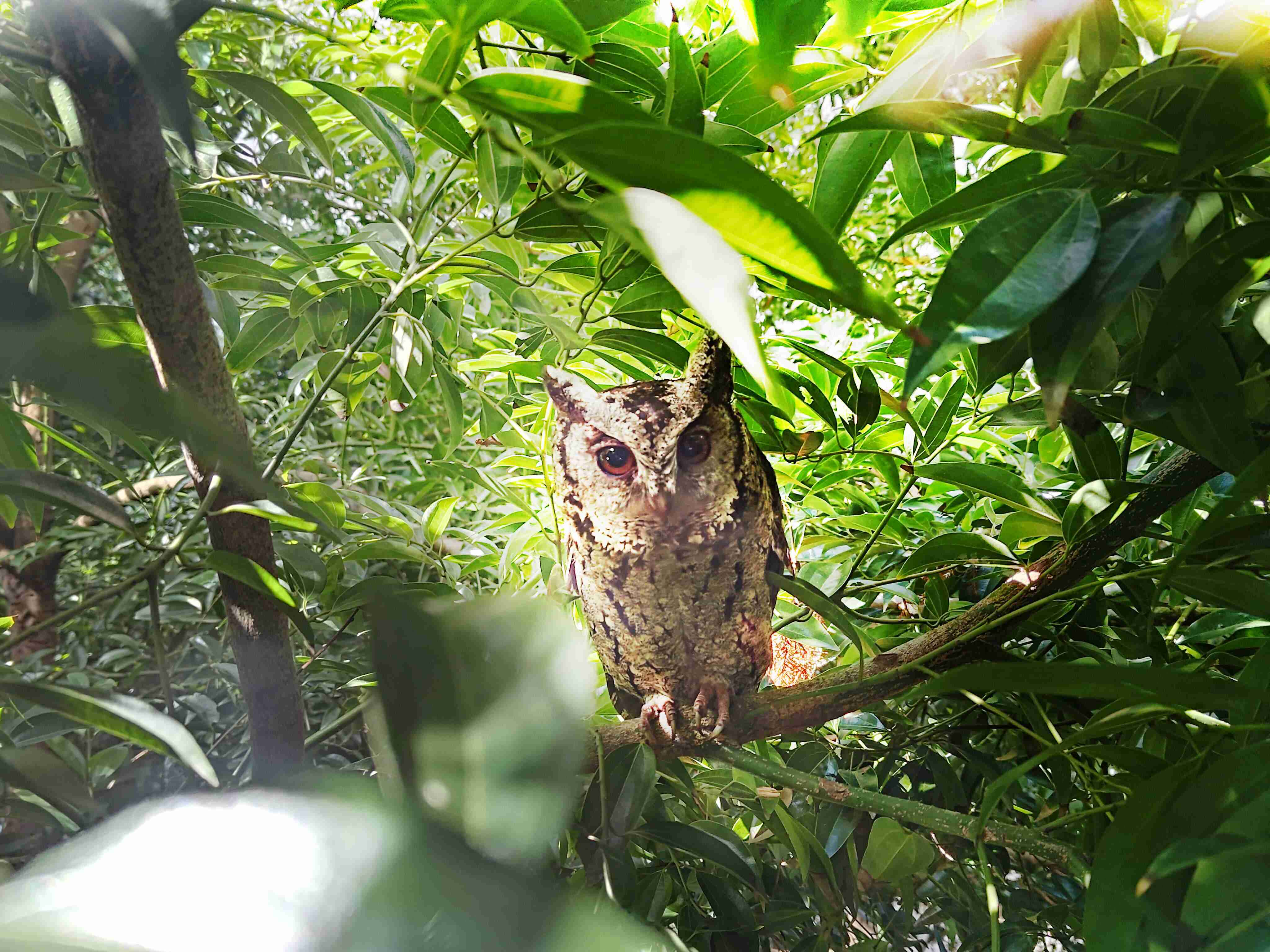 彩运网致力提倡净零绿生活，，16年以来在全球各厂区植树逾百万棵，，造就各厂区树木蔚然成林，，，犹如森林工厂，，，成为许多生物的栖息地